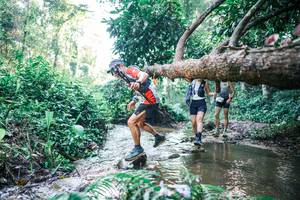 BIB: 
                            <button type="button" onclick="openModal(25433261)" class="btn btn-primary btn-sm float-right btn-popup" data-toggle="modal" data-target=".modal-high-quality">
                        <i class="fas fa-shopping-cart"></i> Add to Cart
                    </button>
                                            <button type="button" onclick="isThisMe(25433261, true)" class="btn btn-success btn-sm float-right btn-popup btn-isme hidden" data-toggle="tooltip" data-placement="bottom" title="นี่คือรูปของคุณใช่ไหม คลิกที่นี่เพื่อเอาเข้าอัลบั้ม">
                        <i class="fas fa-plus"></i> Add to album
                    </button>
                    <button type="button" onclick="isThisMe(25433261, false)" class="btn btn-warning btn-sm float-right btn-popup btn-isnotme hidden">
                        <i class="fas fa-ban"></i> Remove from album
                    </button>